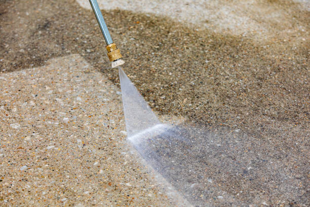 Animal Enclosure Cleaning in North Valley Stream, NY